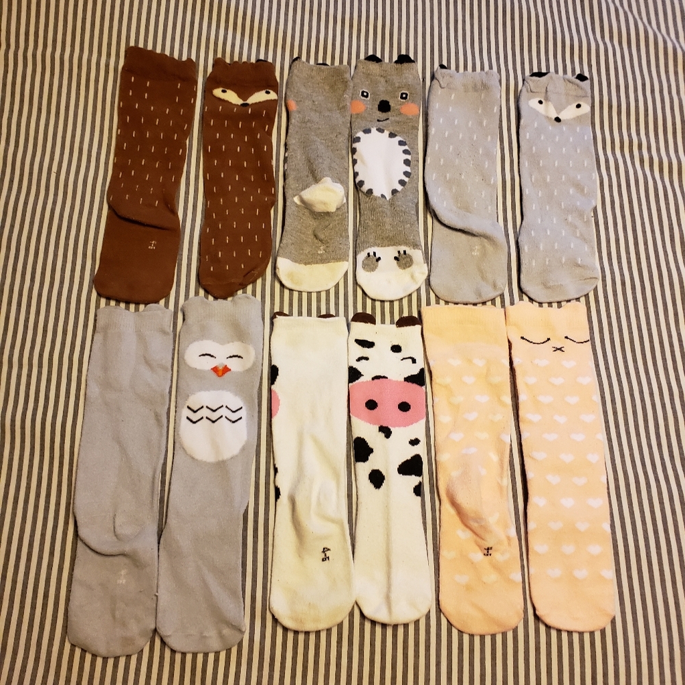 Six pack of knee high toddler socks